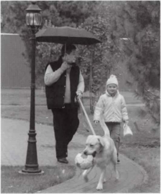 Иллюстрация к книге — Громов [i_081.jpg]