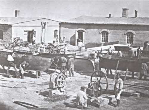 Иллюстрация к книге — Вокруг света под парусами [i_023.jpg]