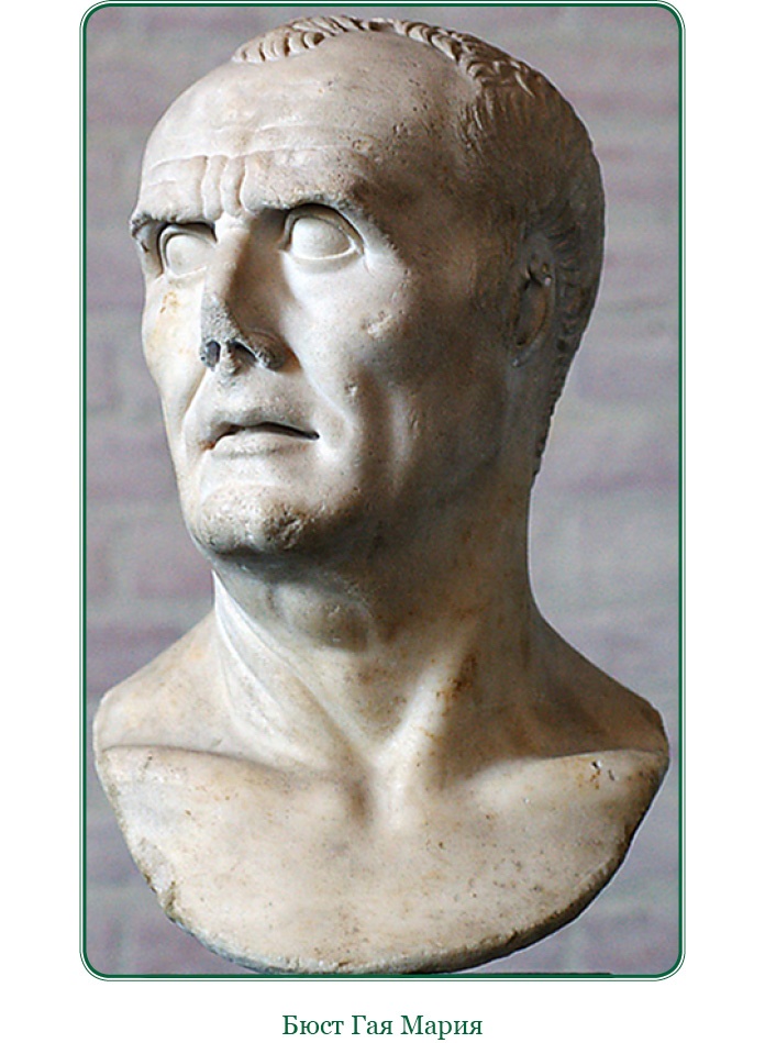 Иллюстрация к книге — Разделяй и властвуй. Записки триумфатора [i_005.jpg]