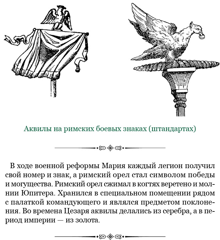 Иллюстрация к книге — Разделяй и властвуй. Записки триумфатора [i_064.jpg]