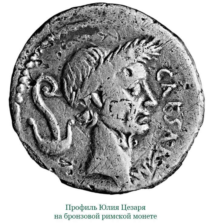 Иллюстрация к книге — Разделяй и властвуй. Записки триумфатора [i_124.jpg]