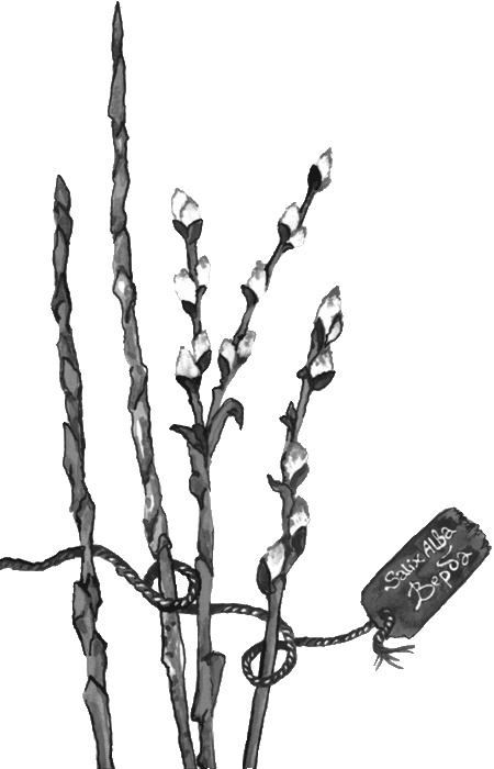 Иллюстрация к книге — Случайному гостю [i_003.jpg]