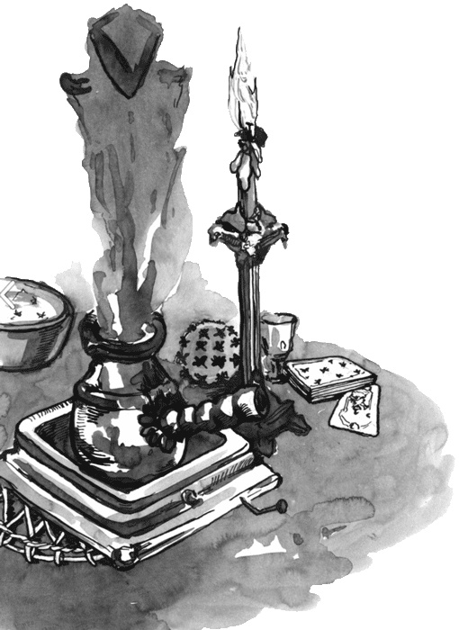 Иллюстрация к книге — Случайному гостю [i_005.jpg]