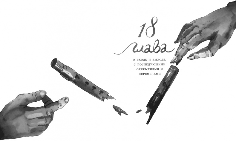 Иллюстрация к книге — Случайному гостю [i_041.jpg]