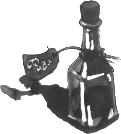 Иллюстрация к книге — Случайному гостю [i_044.jpg]