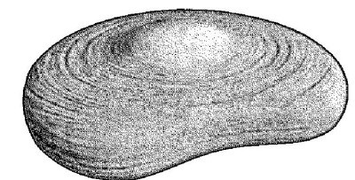 Иллюстрация к книге — Практический курс здоровья для вашего позвоночника [i_002.jpg]