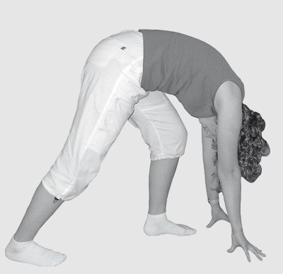 Иллюстрация к книге — Практический курс здоровья для вашего позвоночника [i_016.jpg]