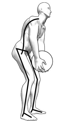 Иллюстрация к книге — Практический курс здоровья для вашего позвоночника [i_026.jpg]