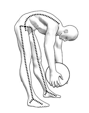 Иллюстрация к книге — Практический курс здоровья для вашего позвоночника [i_027.jpg]