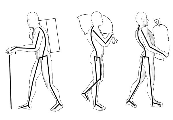 Иллюстрация к книге — Практический курс здоровья для вашего позвоночника [i_029.jpg]