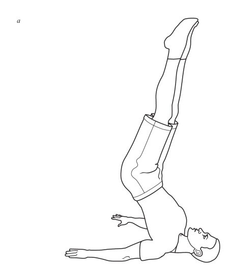 Иллюстрация к книге — Практический курс здоровья для вашего позвоночника [i_115.jpg]