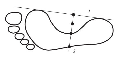Иллюстрация к книге — Практический курс здоровья для вашего позвоночника [i_133.jpg]