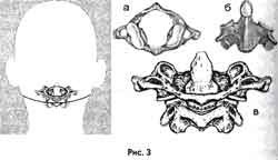 Иллюстрация к книге — Победить боль в спине [i_002.jpg]