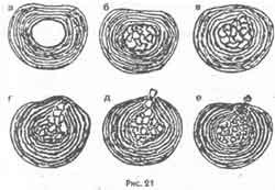 Иллюстрация к книге — Победить боль в спине [i_014.jpg]