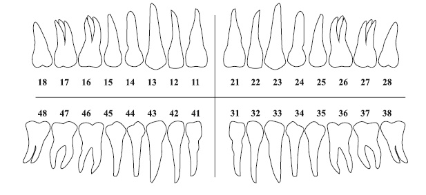 Иллюстрация к книге — Исцеление воспоминанием [i_012.jpg]