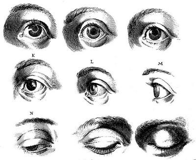 Иллюстрация к книге — Глаза Рембрандта [i_009.jpg]