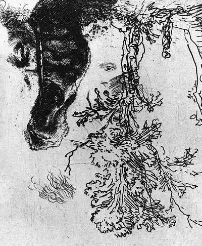 Иллюстрация к книге — Глаза Рембрандта [i_011.jpg]