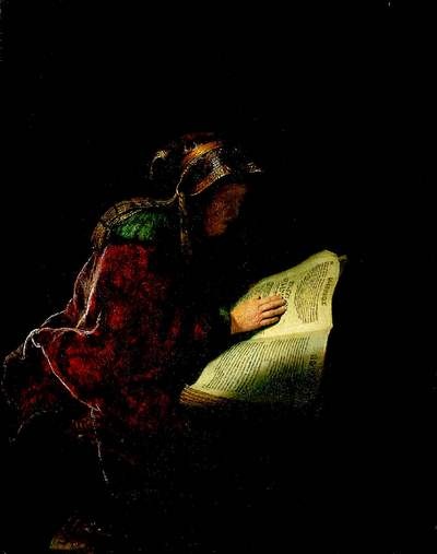 Иллюстрация к книге — Глаза Рембрандта [i_073.jpg]