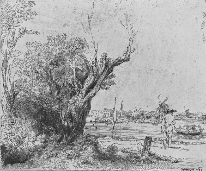 Иллюстрация к книге — Глаза Рембрандта [i_284.jpg]