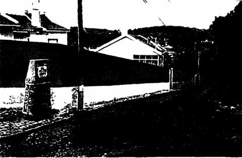 Иллюстрация к книге — Алехин [i_063.jpg]