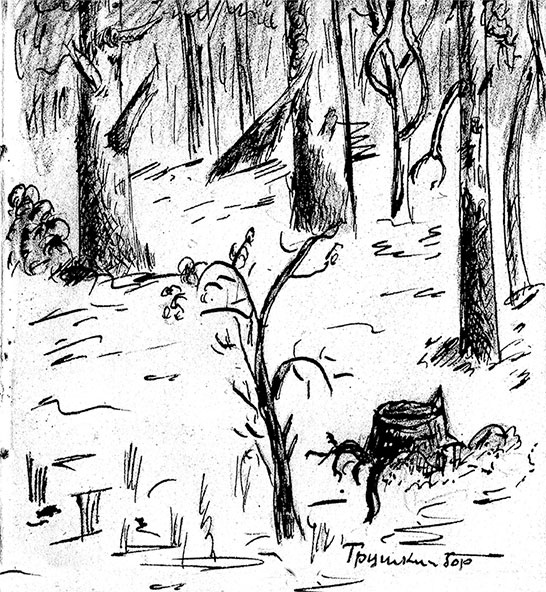 Иллюстрация к книге — Сибирской дальней стороной. Дневник охранника БАМа. 1935-1936 [i_019.jpg]