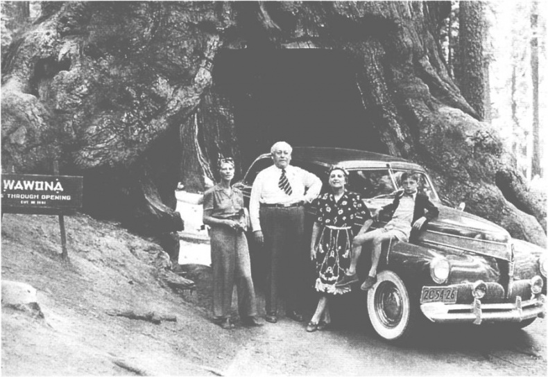 Иллюстрация к книге — Вера (Миссис Владимир Набоков) [i_026.jpg]