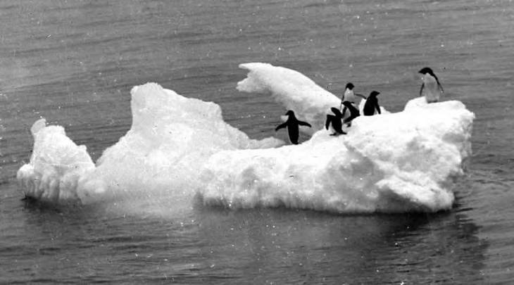 Иллюстрация к книге — В сердце Антарктики [i_028.jpg]