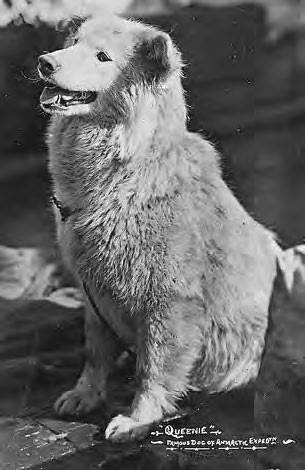 Иллюстрация к книге — В сердце Антарктики [i_065.jpg]