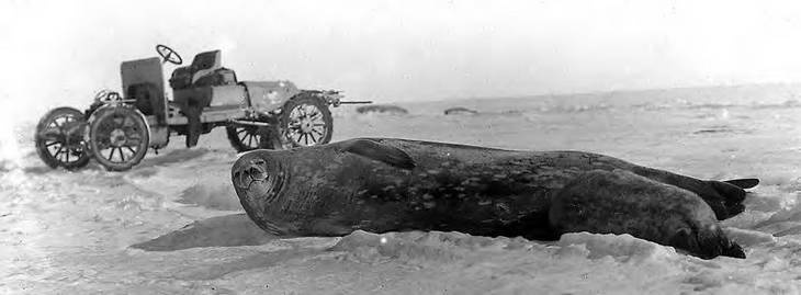 Иллюстрация к книге — В сердце Антарктики [i_084.jpg]