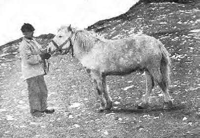 Иллюстрация к книге — В сердце Антарктики [i_094.jpg]