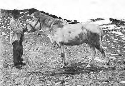 Иллюстрация к книге — В сердце Антарктики [i_095.jpg]