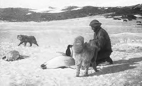 Иллюстрация к книге — В сердце Антарктики [i_108.jpg]