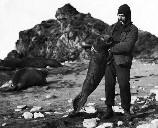 Иллюстрация к книге — В сердце Антарктики [i_113.jpg]