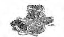 Иллюстрация к книге — В сердце Антарктики [i_123.jpg]