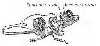 Иллюстрация к книге — В сердце Антарктики [i_139.jpg]