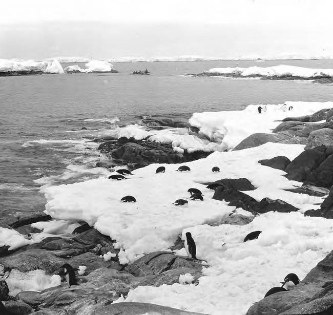 Иллюстрация к книге — В сердце Антарктики [i_144.jpg]