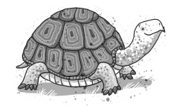 Иллюстрация к книге — Загадочные ямы [i_024.jpg]