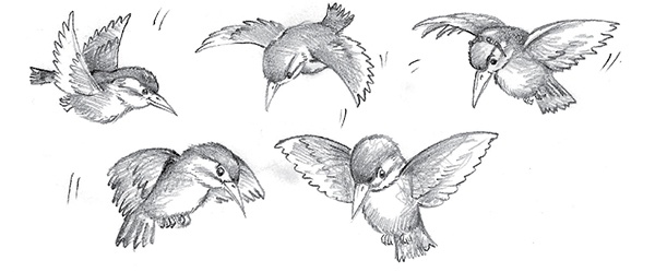 Иллюстрация к книге — Щенок Эви, или Жасминовый сюрприз [i_030.jpg]