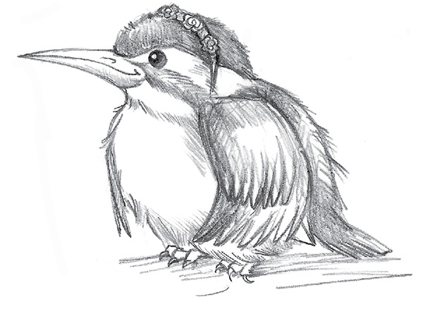 Иллюстрация к книге — Щенок Эви, или Жасминовый сюрприз [i_033.jpg]