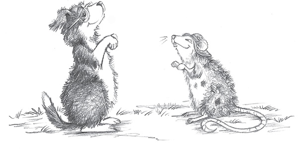 Иллюстрация к книге — Щенок Эви, или Жасминовый сюрприз [i_037.jpg]