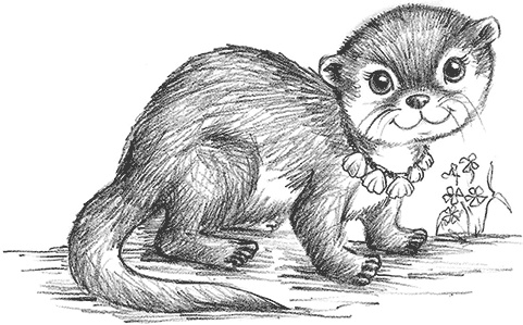 Иллюстрация к книге — Выдра Хлоя, или Серебряная ракушка [i_002.jpg]