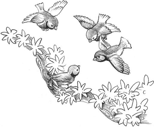 Иллюстрация к книге — Выдра Хлоя, или Серебряная ракушка [i_005.jpg]