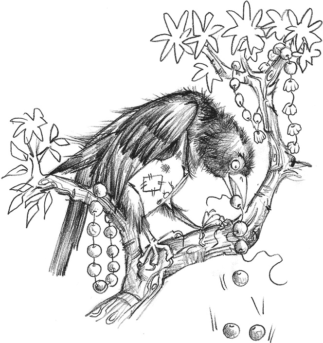 Иллюстрация к книге — Выдра Хлоя, или Серебряная ракушка [i_010.jpg]