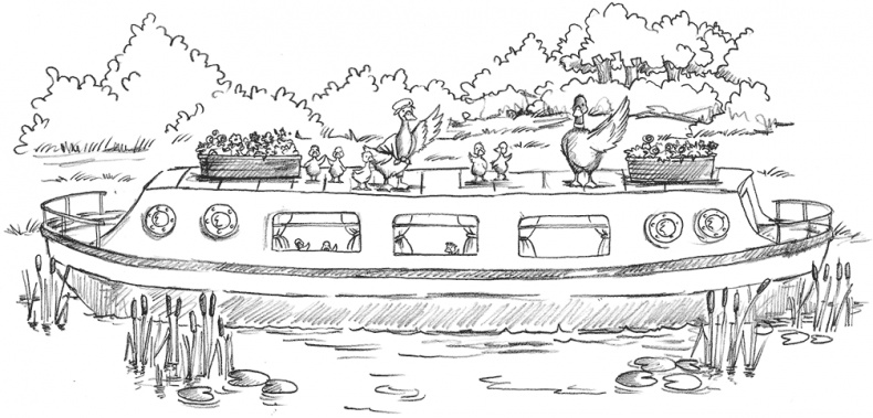 Иллюстрация к книге — Выдра Хлоя, или Серебряная ракушка [i_022.jpg]