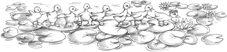 Иллюстрация к книге — Выдра Хлоя, или Серебряная ракушка [i_024.jpg]