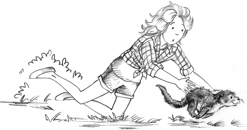 Иллюстрация к книге — Выдра Хлоя, или Серебряная ракушка [i_026.jpg]