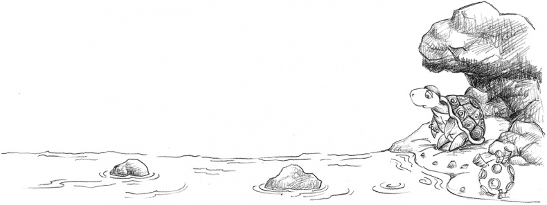 Иллюстрация к книге — Выдра Хлоя, или Серебряная ракушка [i_031.jpg]