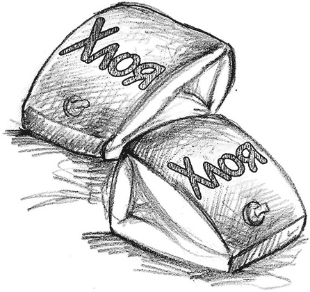 Иллюстрация к книге — Выдра Хлоя, или Серебряная ракушка [i_032.jpg]