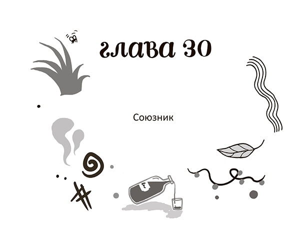 Иллюстрация к книге — Разбойниковы и разбойничья песнь [i_033.jpg]