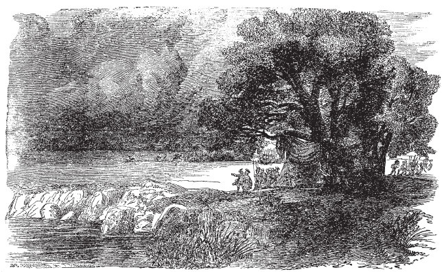 Иллюстрация к книге — Ромул. Основатель Вечного города [i_018.jpg]